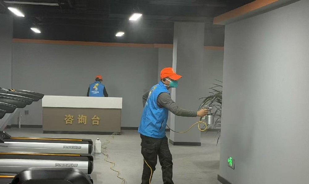 办公室除甲醛：兼顾员工健康与企业效率的解决方案
