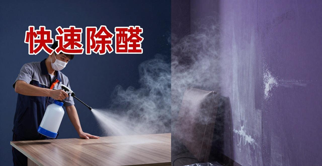 除甲醛新房子_新房除甲醛_新房除甲醛除味道